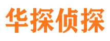 文成市调查公司